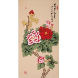 Peony - CNAG000714