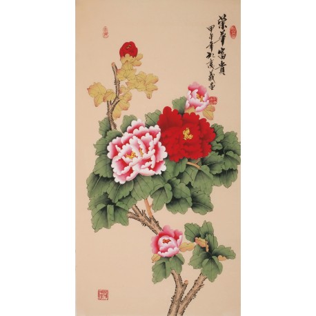 Peony - CNAG000714