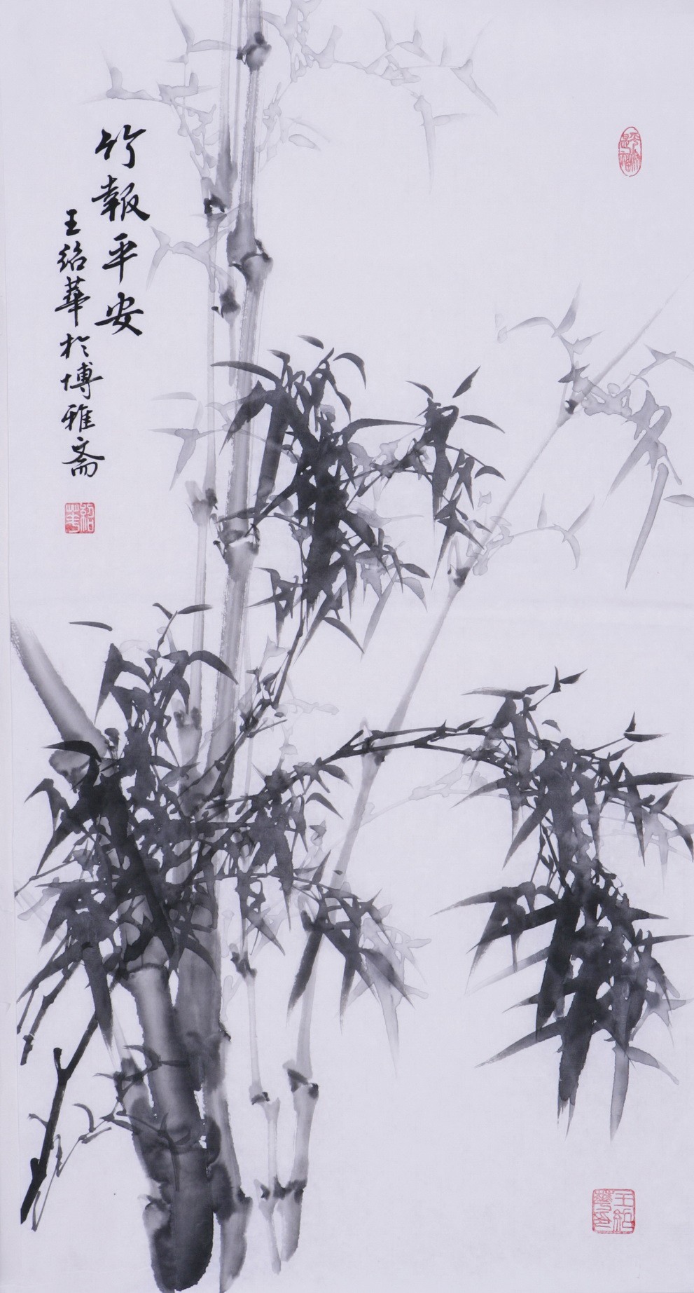 Ink Bamboo - CNAG000716