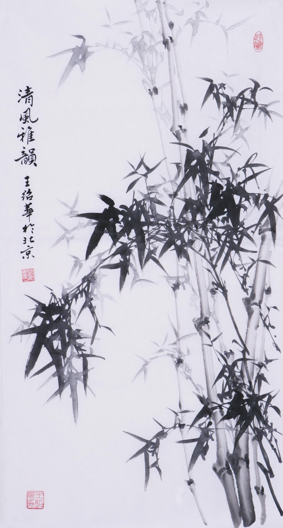 Ink Bamboo - CNAG000717