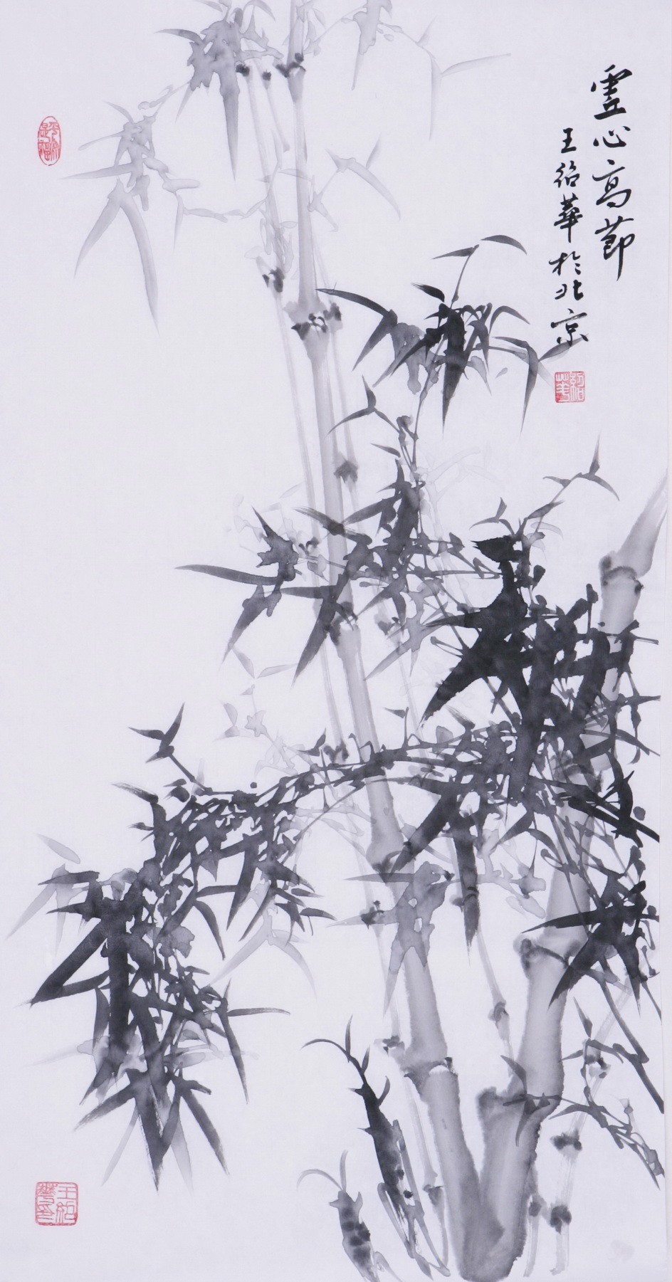 Ink Bamboo - CNAG000718