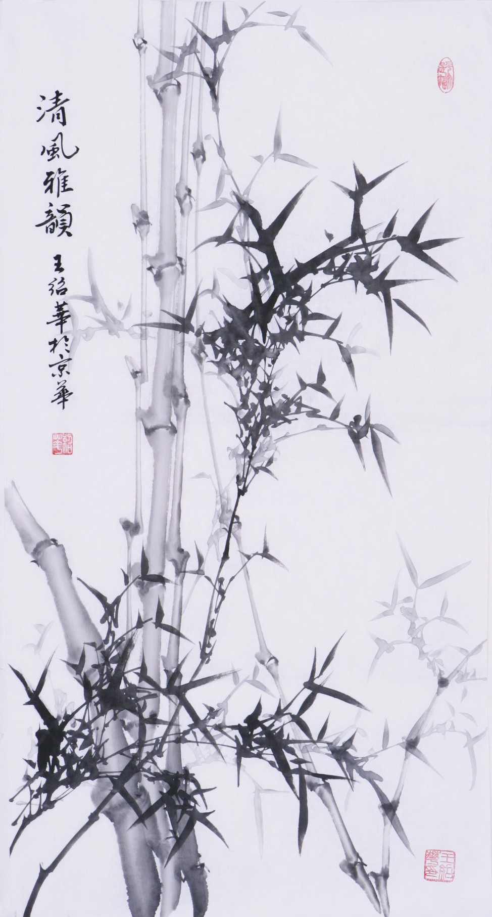 Ink Bamboo - CNAG000719