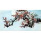 Chinese Plum Painting - CNAG007288