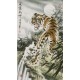 Tiger - CNAG000072