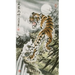 Tiger - CNAG000072