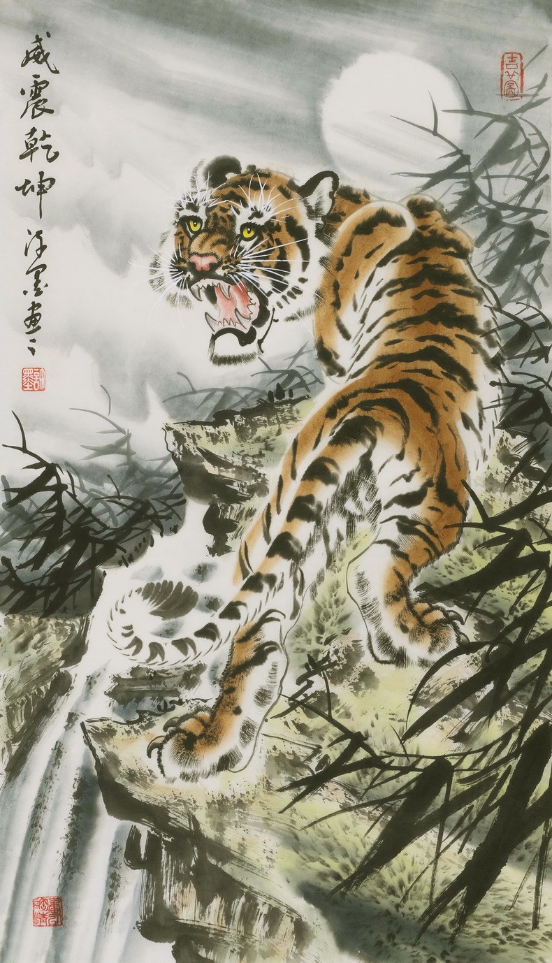 Tiger - CNAG000072