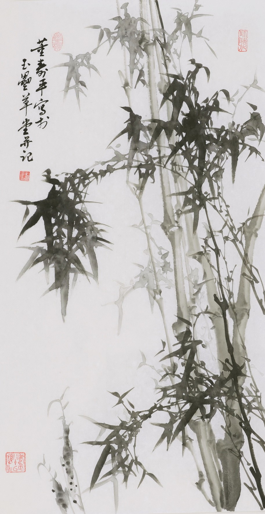 Ink Bamboo - CNAG000722