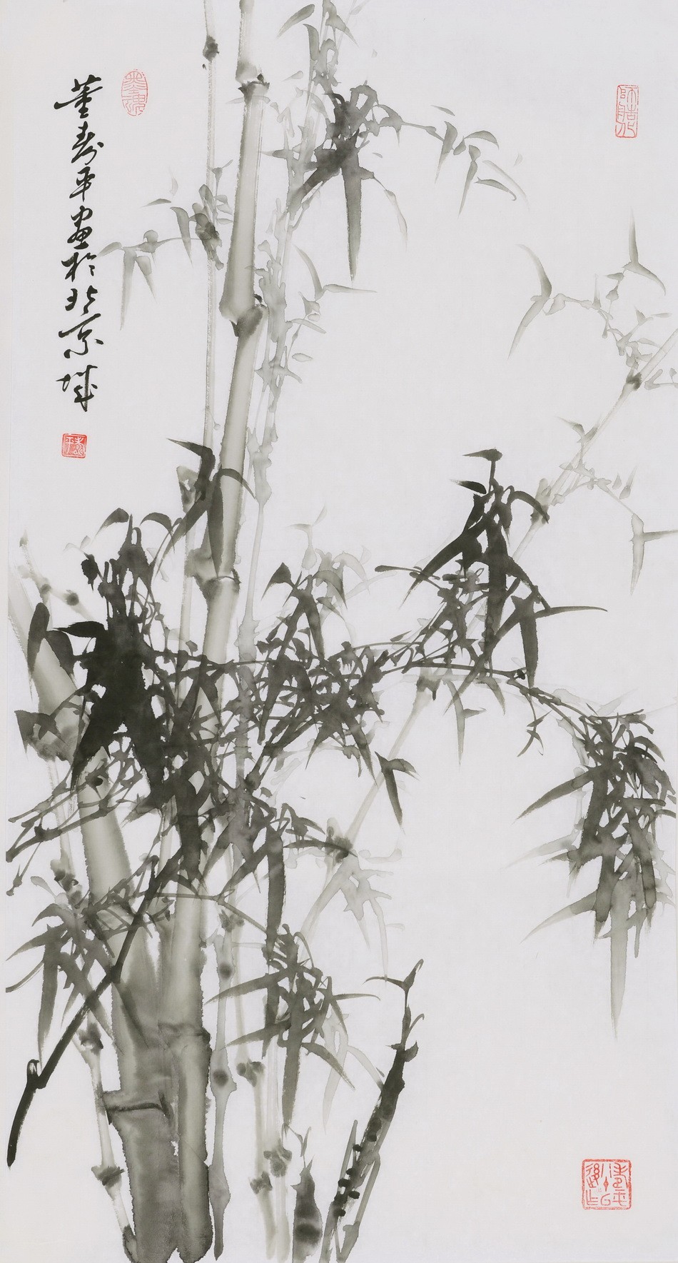 Ink Bamboo - CNAG000724