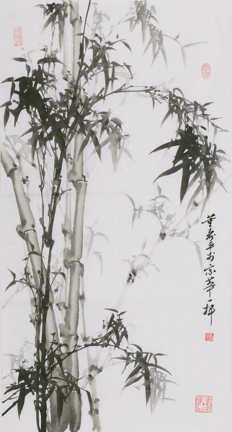 Ink Bamboo - CNAG000725