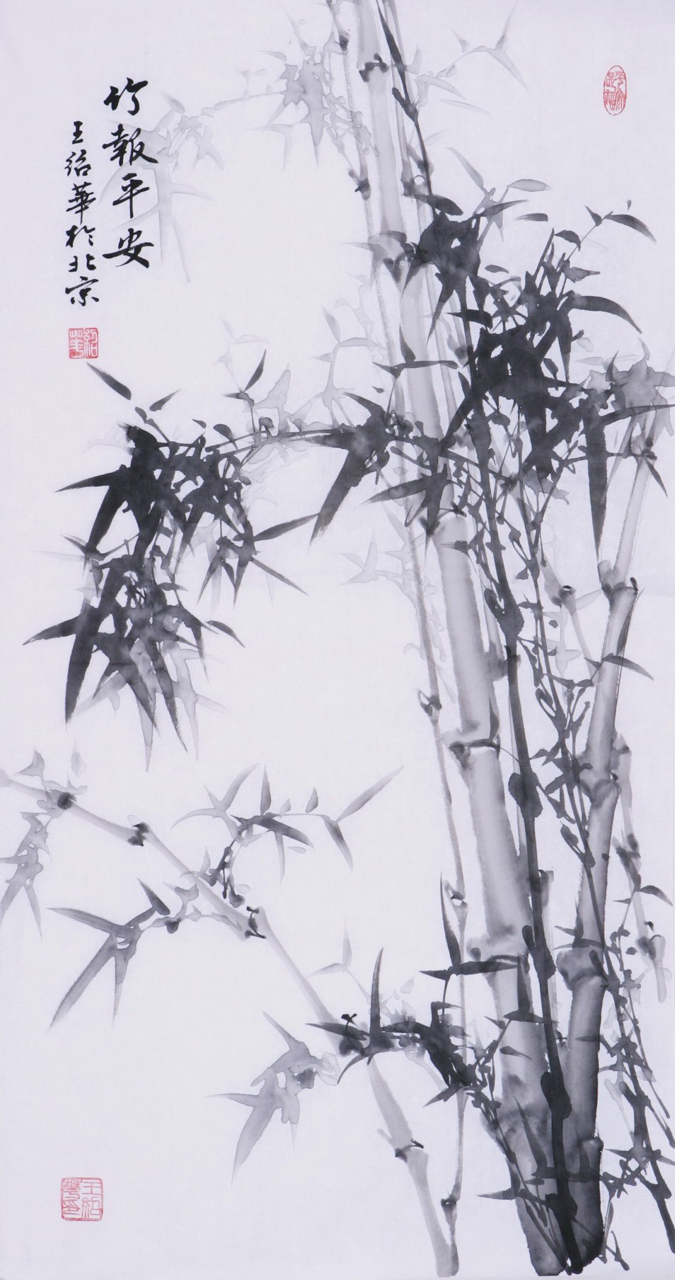 Ink Bamboo - CNAG000726