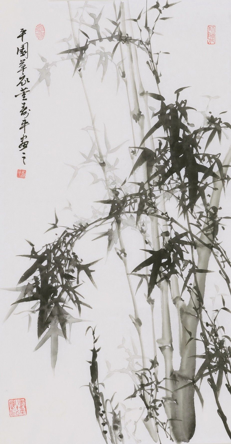 Ink Bamboo - CNAG000728
