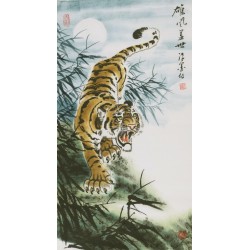 Tiger - CNAG000073