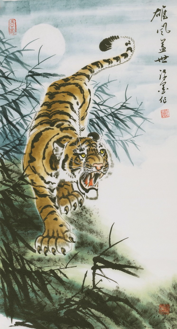 Tiger - CNAG000073
