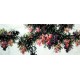 Chinese Lotus Painting - CNAG007411