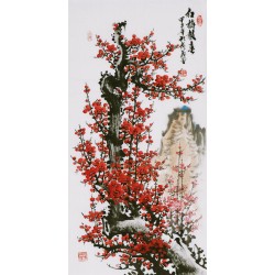 Plum - CNAG000735