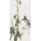 Ink Bamboo - CNAG000736