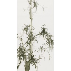 Ink Bamboo - CNAG000736