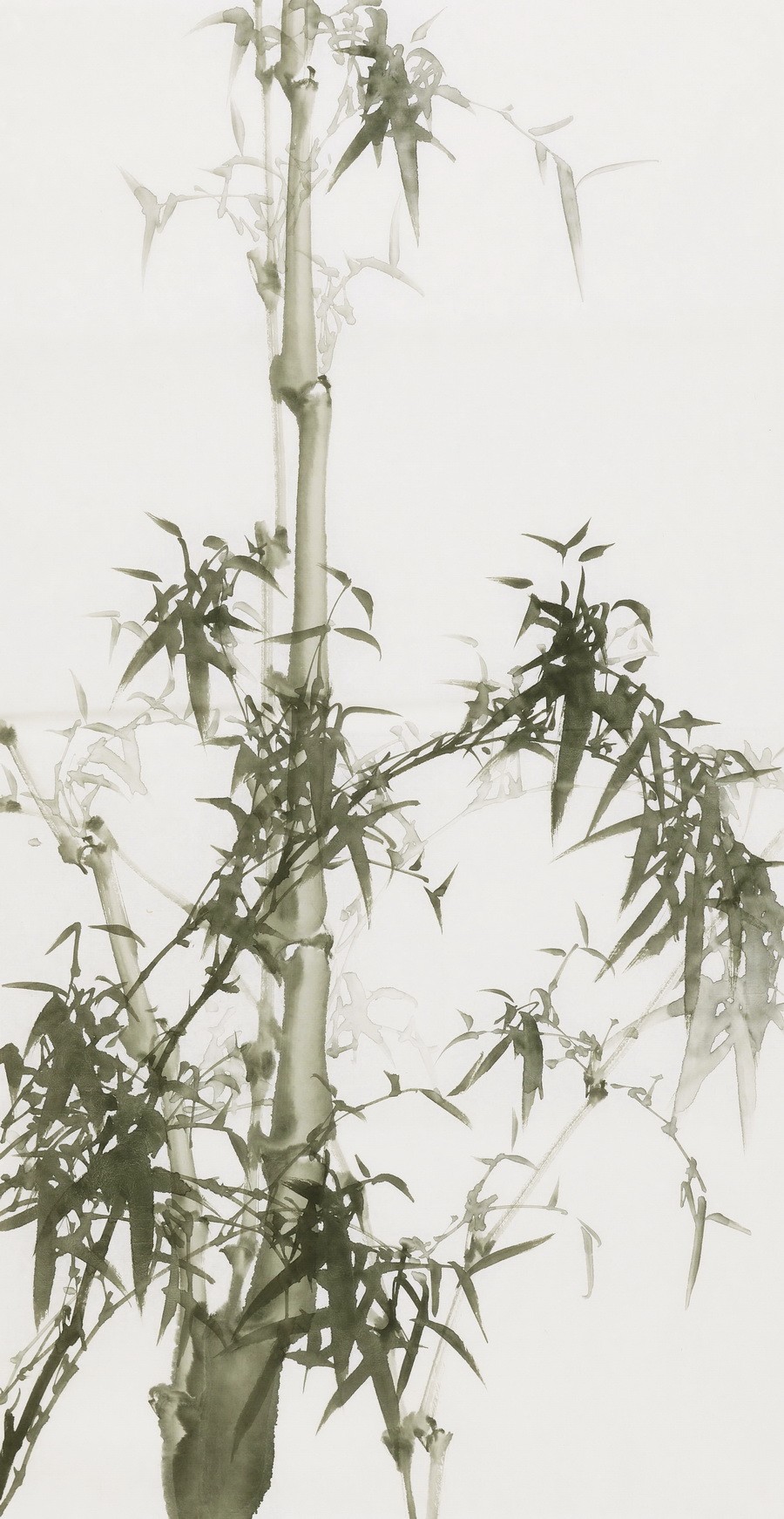 Ink Bamboo - CNAG000736