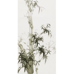 Ink Bamboo - CNAG000737