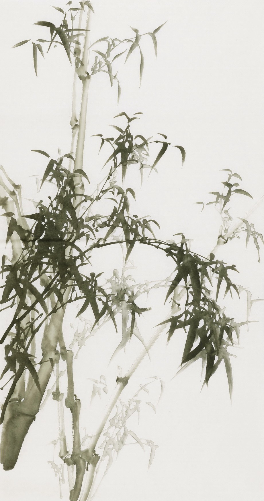 Ink Bamboo - CNAG000738