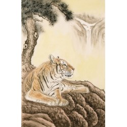 Tiger - CNAG000074