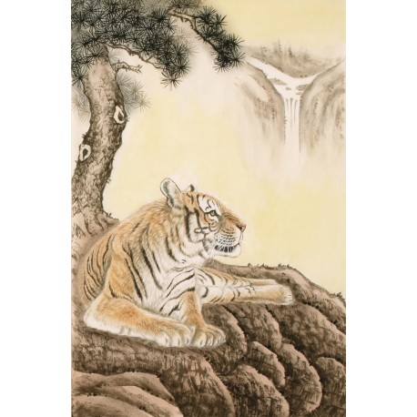 Tiger - CNAG000074