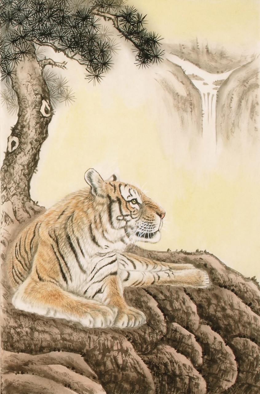 Tiger - CNAG000074