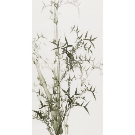 Ink Bamboo - CNAG000740