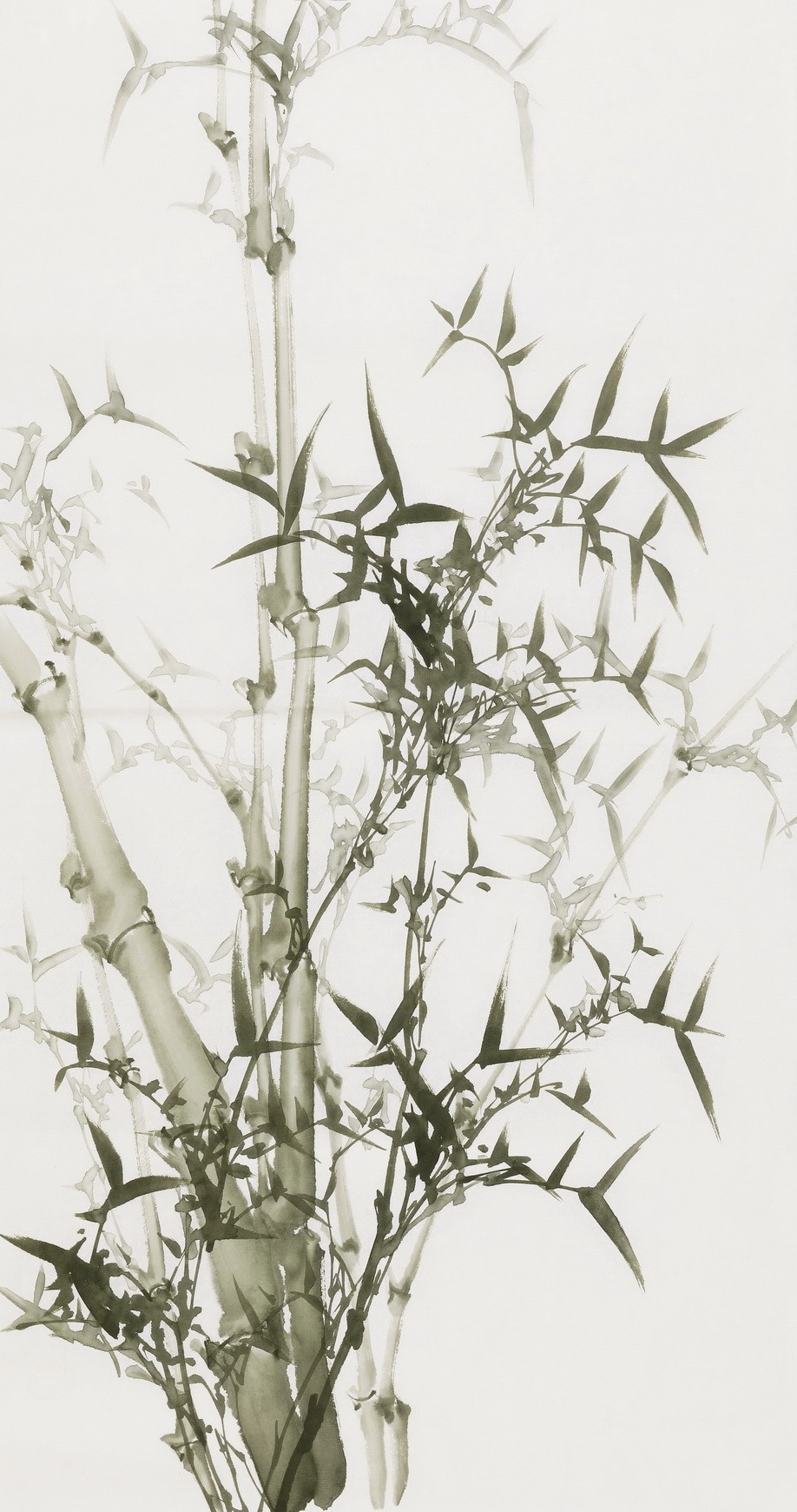 Ink Bamboo - CNAG000740