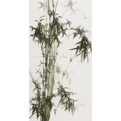 Ink Bamboo - CNAG000742