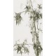Ink Bamboo - CNAG000743