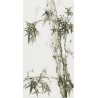 Ink Bamboo - CNAG000743