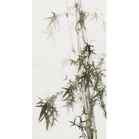 Ink Bamboo - CNAG000744