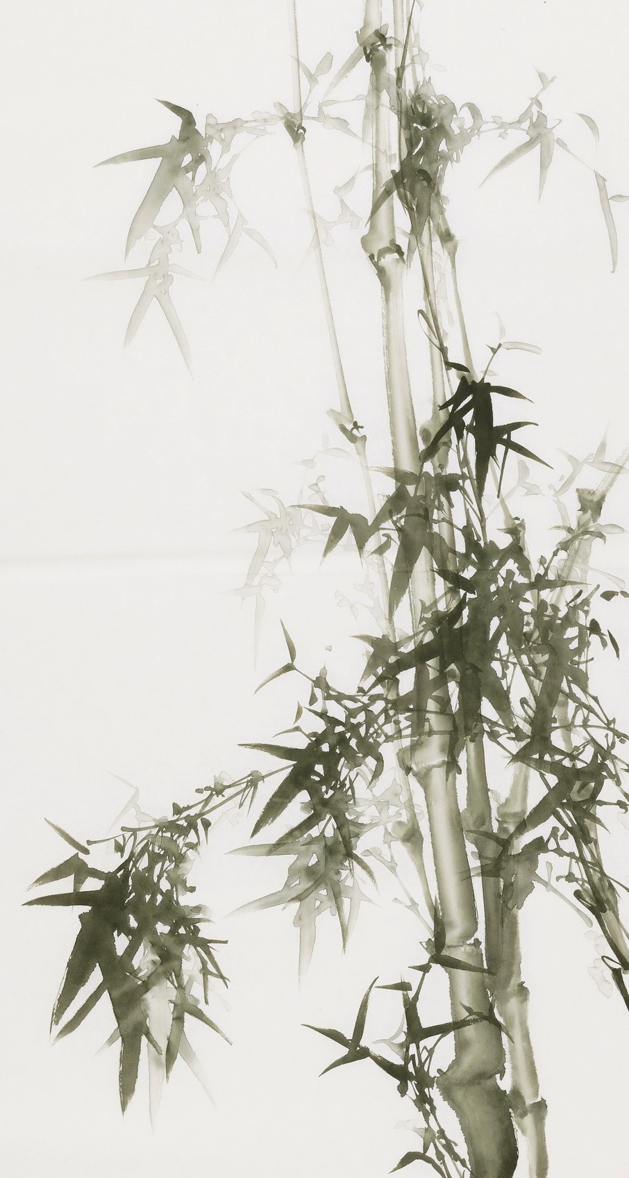 Ink Bamboo - CNAG000744