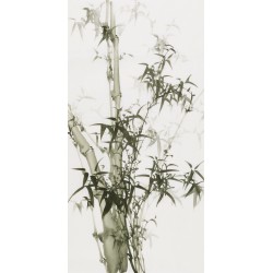 Ink Bamboo - CNAG000745