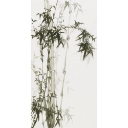 Ink Bamboo - CNAG000746