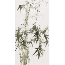 Ink Bamboo - CNAG000747