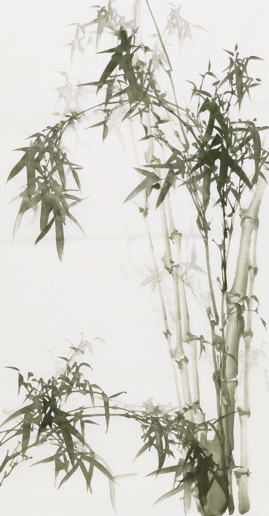 Ink Bamboo - CNAG000749