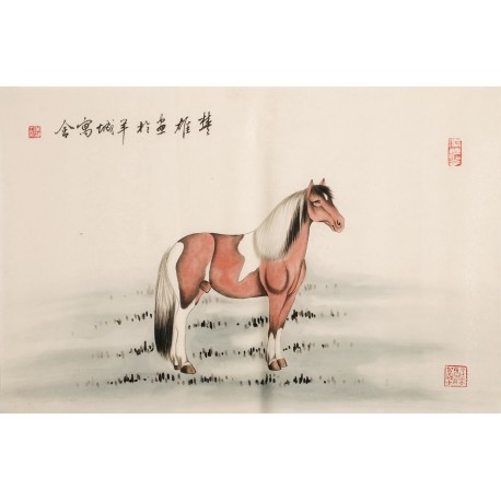 Horse - CNAG000075