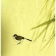 Chinese Flowers&Trees Painting - CNAG007596