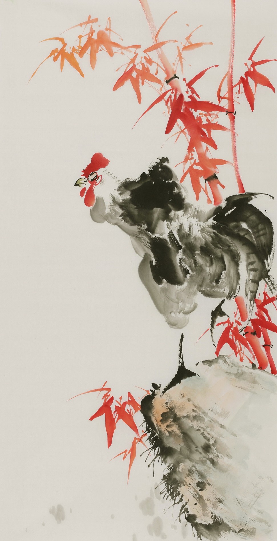 Chicken - CNAG000752