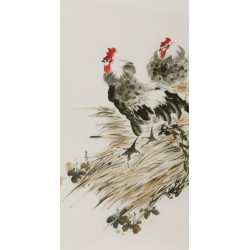 Chicken - CNAG000754