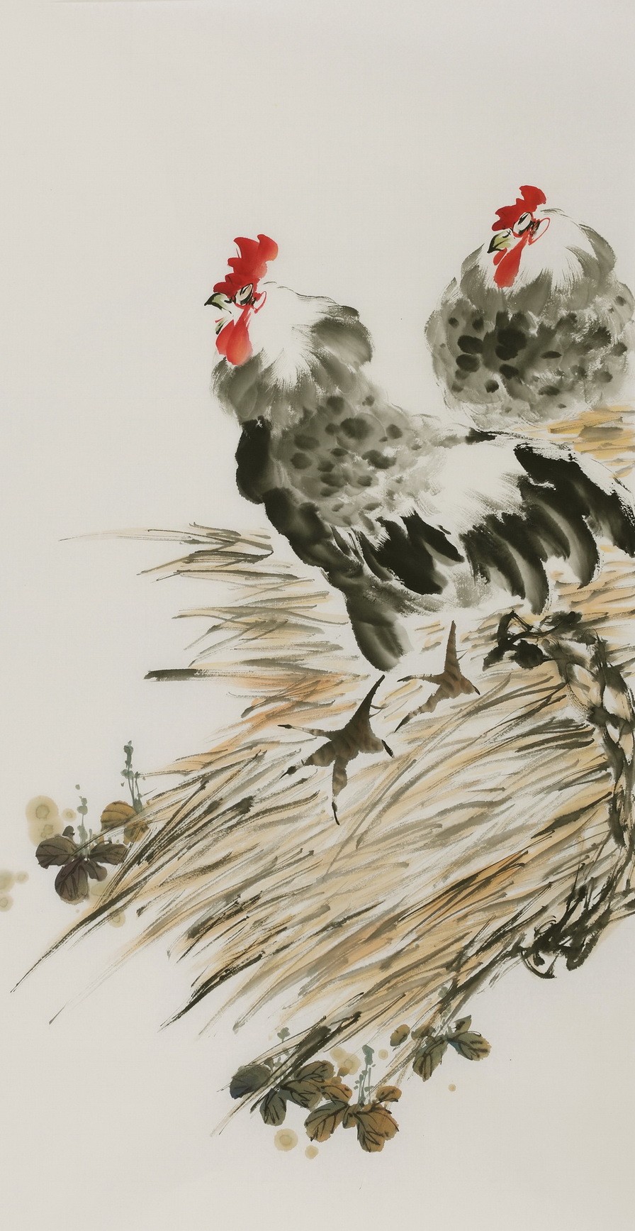 Chicken - CNAG000754