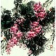 Chinese Flowers&Trees Painting - CNAG007677