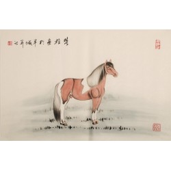 Horse - CNAG000076