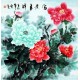 Chinese Peony Painting - CNAG007858