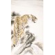 Tiger - CNAG000078