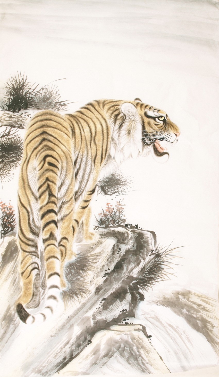 Tiger - CNAG000078