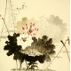 Chinese Lotus Painting - CNAG007893