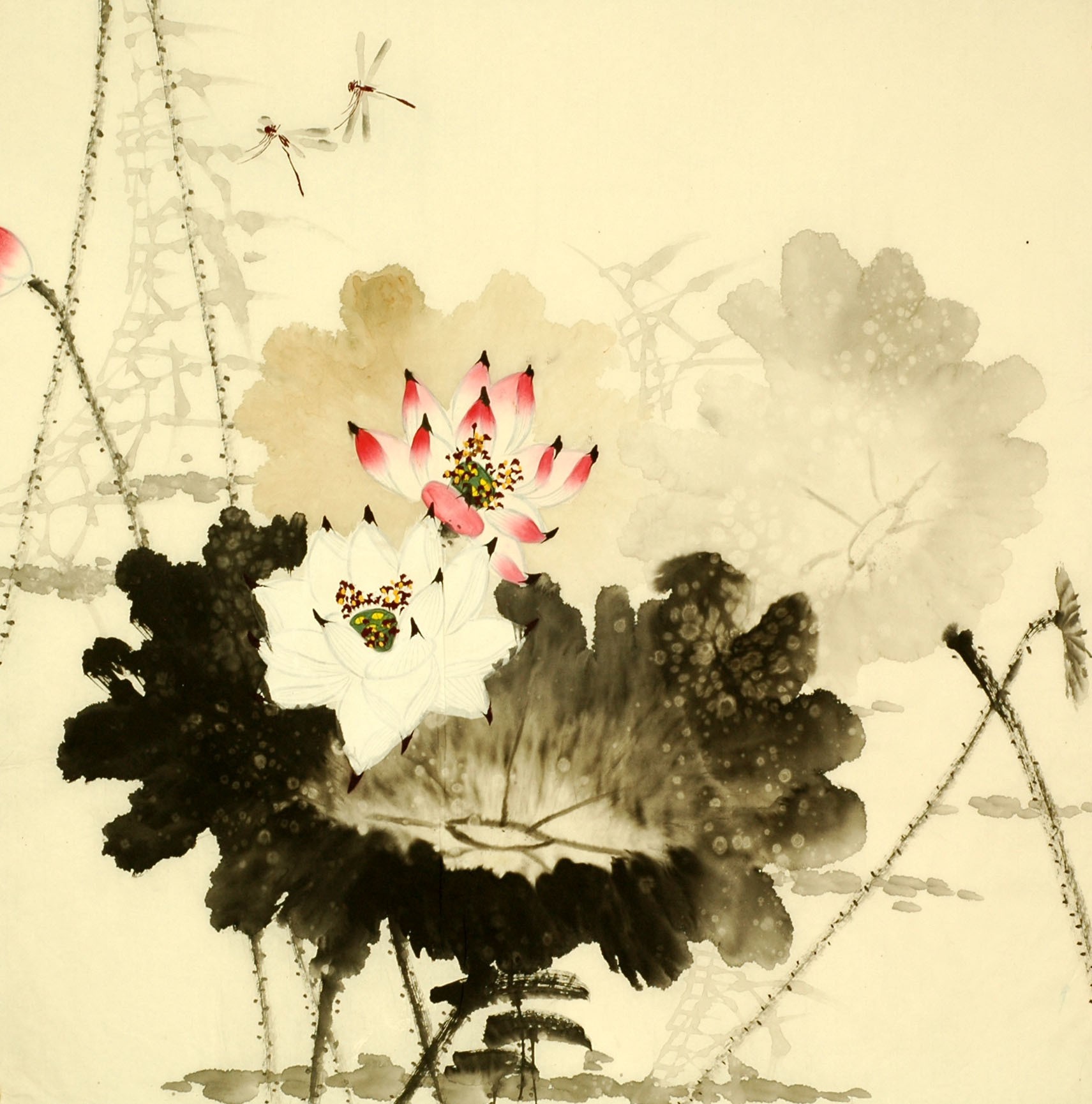 Chinese Lotus Painting - CNAG007893